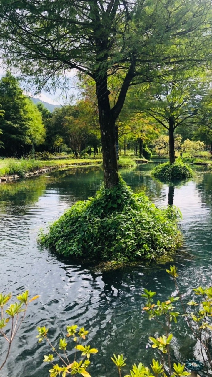 台科泛104旅遊團
