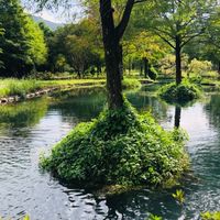 台科泛104旅遊團