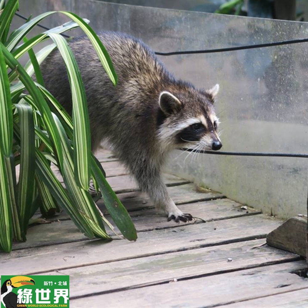 不只保留了天然的原始森林及美麗湖泊，另外全園還使用了節能減碳的綠建築!離開喧鬧的城市，自然生態讓你心靈放。輕。鬆! 六大主題公園、47個景點~讓你玩的好過癮!!園內的六大主題公園： 1.天鵝湖 2.大