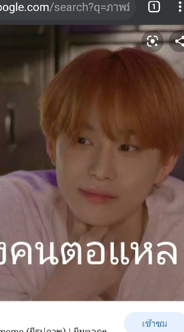 รวมภาพมีมตลกๆ