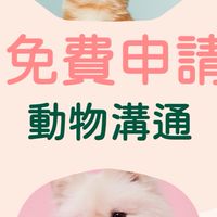 免費寵物溝通-實習練習2號
