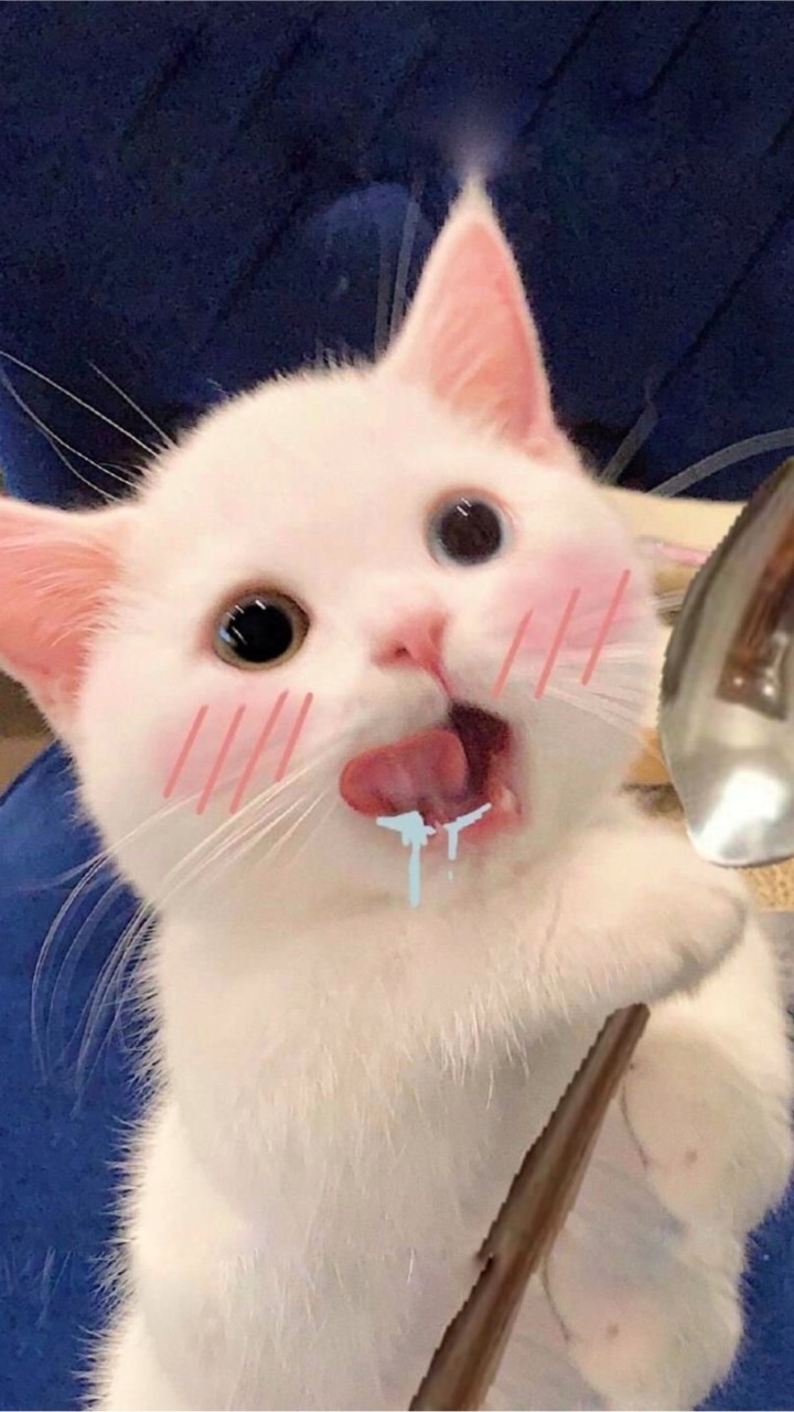 จิตวิทยาจะไม่เหงาอีกต่อไป