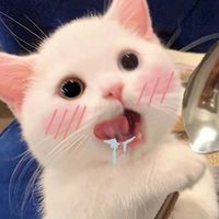 จิตวิทยาจะไม่เหงาอีกต่อไป