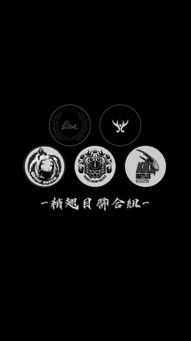 -鞘翅目聯合組-