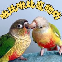 啾比啾比寵物坊