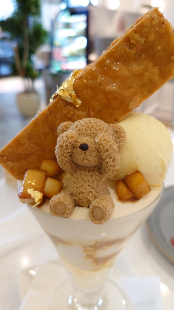 よーい！どんぐり！！集合