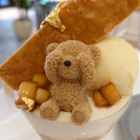 よーい！どんぐり！！集合