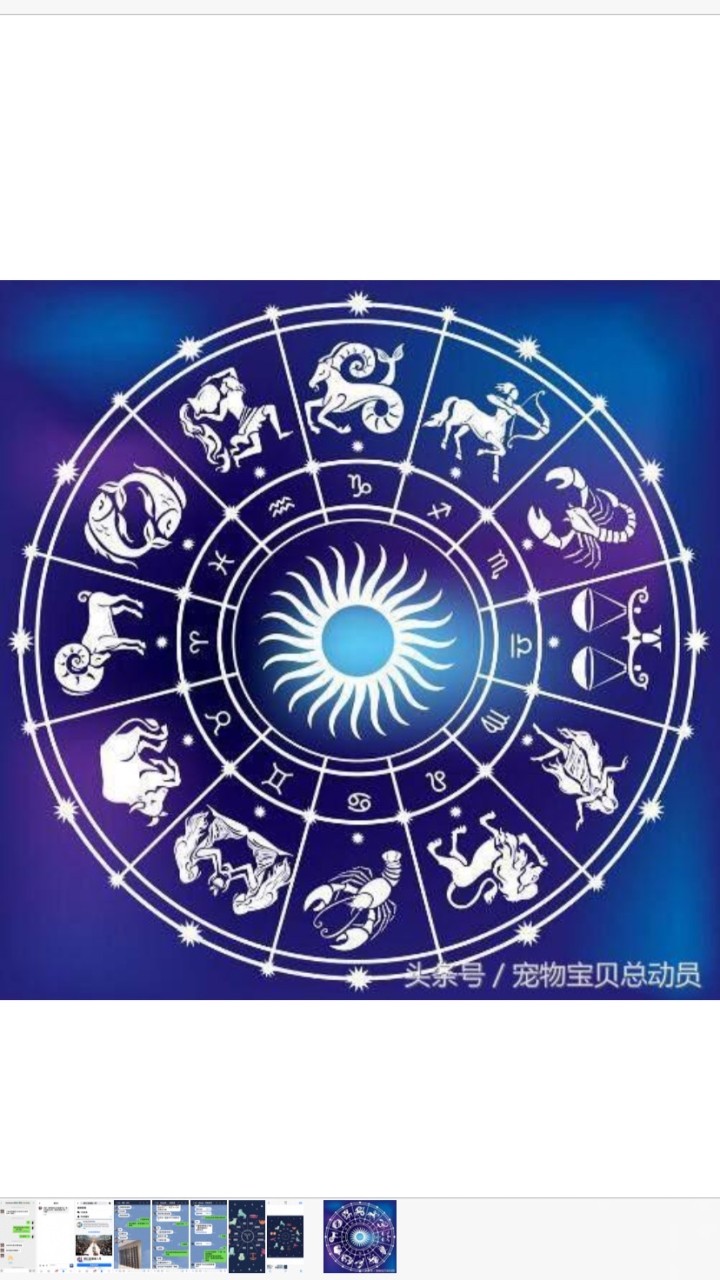 💎討論12星座、塔羅算命交友討論