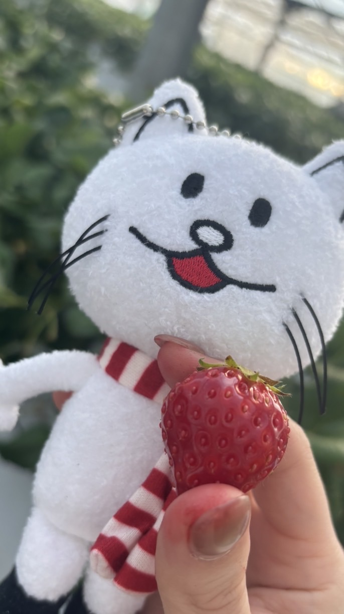 3/28いちごの会🍓