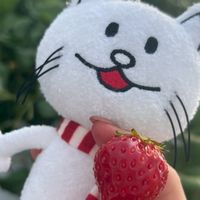 3/28いちごの会🍓