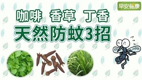 天然防蚊3招：咖啡、香草、丁香【早安健康嚴選】