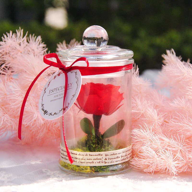 迷你瓶中永生紅玫瑰花-小王子的玫瑰，附卡片。設計師嚴選日本進口不凋永生紅玫瑰花製成，再小心翼翼的固定在玻璃罐裡，讓送禮人的心意永流傳～非常推薦當交換禮物、聖誕禮物、情人節禮物唷～