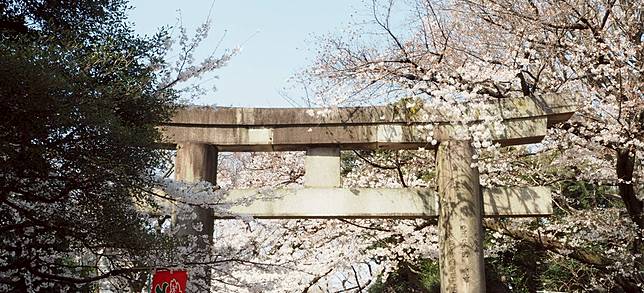 上野恩賜公園賞櫻女子旅之私景推薦 東照宮參道上的櫻花屋台 Japankuru日本酷樂 Line Today