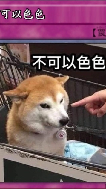彩虹圈內同好隨意聊天群