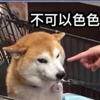 彩虹圈內同好隨意聊天群