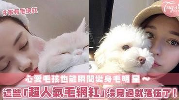 還在瘋追網紅？現在最流行的是「毛網紅」！如果你還沒見過這些正夯的「毛網紅」，代表你快跟不上流行啦～