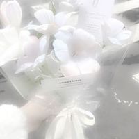 好感女子實驗室🎀