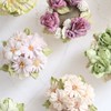 驀時甜點工藝&烏泡芙專賣
