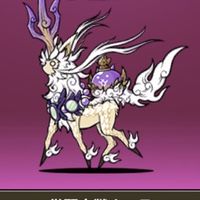 にゃんこ好き集まれ！！〈初心者・上級者大歓迎〉