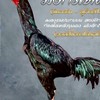 เพชรฤาชาโชค สังกัด ก.เพชรไพรี
