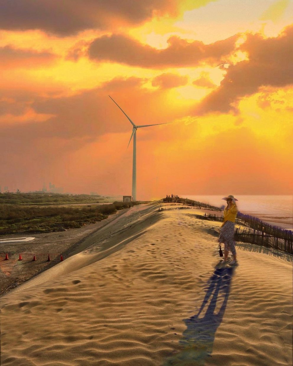 觀音草漯沙丘 @taiwan 4fun