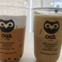 สาขา owlcha