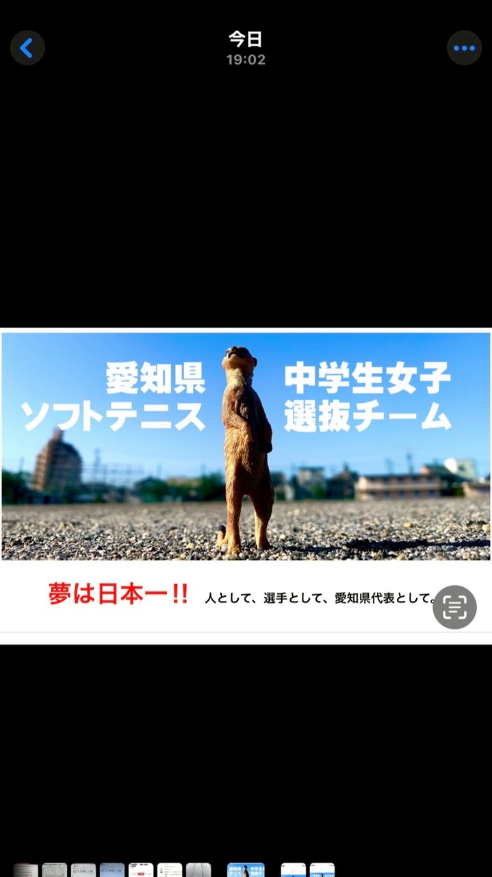 愛知県女子中学生ソフトテニス選抜チャット