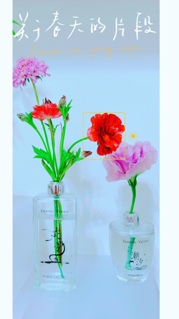 🌸菜菜美人館🌸
