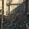 ＣｉｔｙＮｏｏｎ【折也/不良/(異能)】