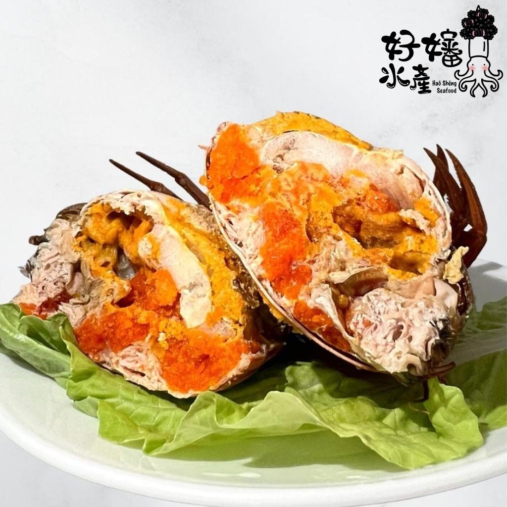 【好嬸水產】中秋送禮- 爆蛋熟凍紅蟳｜抱蛋紅蟳｜150公克｜1498免運｜進口紅蟳｜蛋蛋蟳｜熟凍蟹｜紅蟳｜給家人最鮮的