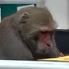 中山大學二手拍賣群