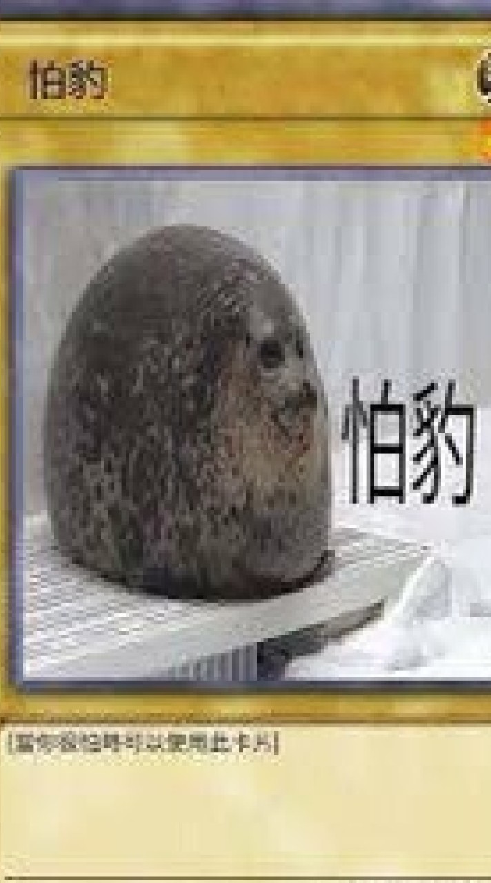 漫研沒社長