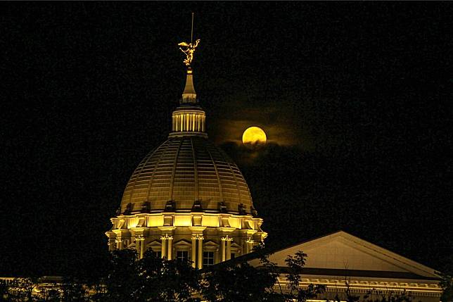 圖片來源：IG @tigerweb2.view