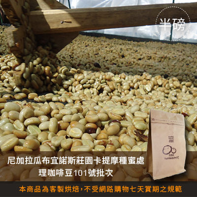 【咖啡綠商號】尼加拉瓜布宜諾斯莊園卡提摩種蜜處理咖啡豆101號批次 (半磅)