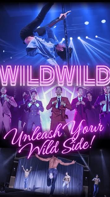 wildwild沼🕺🇰🇷💋