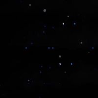 Cortis 黑粉 （媽的爛死什麼破團）
