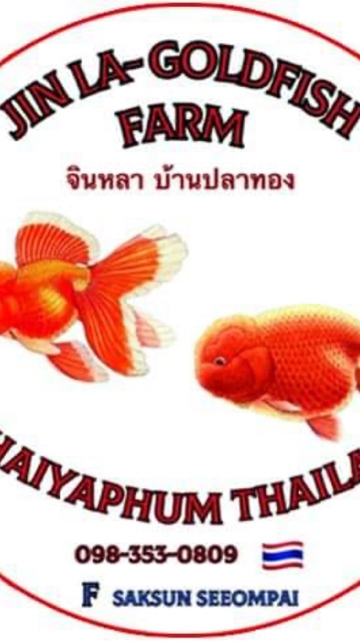 ประมูลปลาทอง By จินหลาบ้านปลาทอง