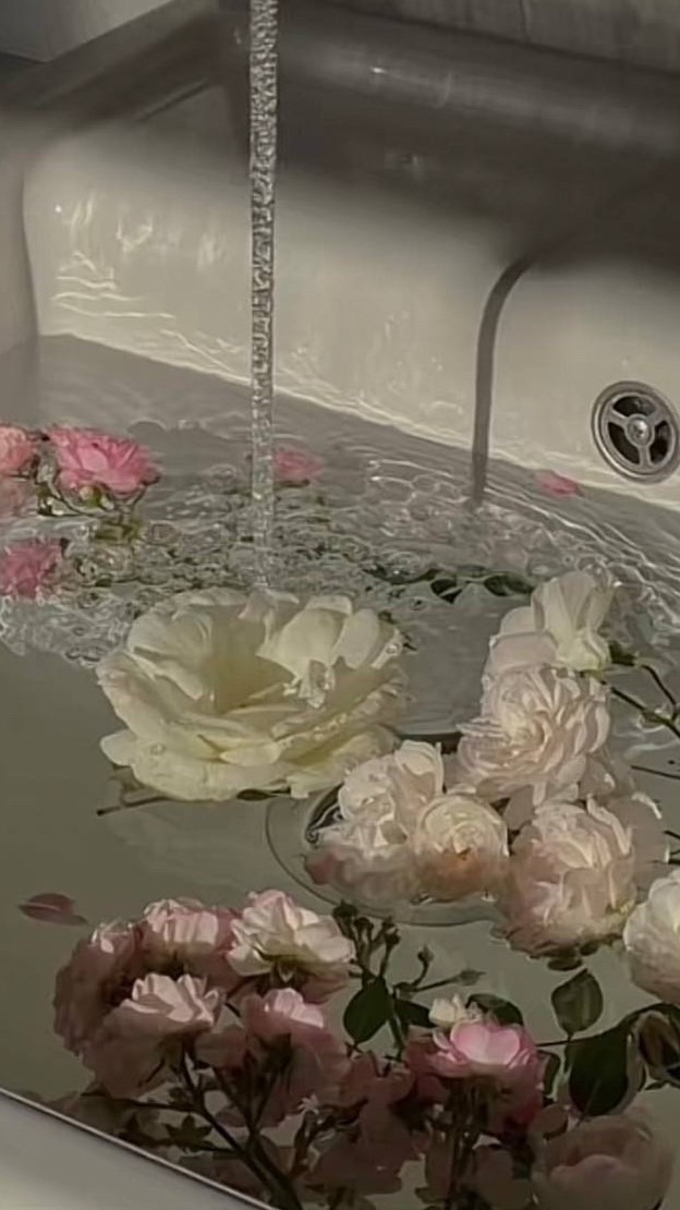  ︎︎ 芸能人  なりきり  。