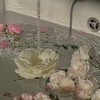  ︎︎ 芸能人  なりきり  。