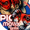 PK Molly ภูเก็ต