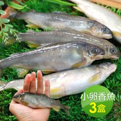 ◎飽滿魚卵香嫩鮮甜，不得不吃的香魚大餐|◎高級日本料理店專用等級，輕鬆燒烤就能吃到最棒的美味|◎急速冷凍，新鮮保存，鮮味送到家品牌:築地一番鮮類型:魚類種類:全魚食用方式:烹調再食用內容量(g/份):