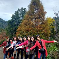 （小梅與保險的烽富旅遊）