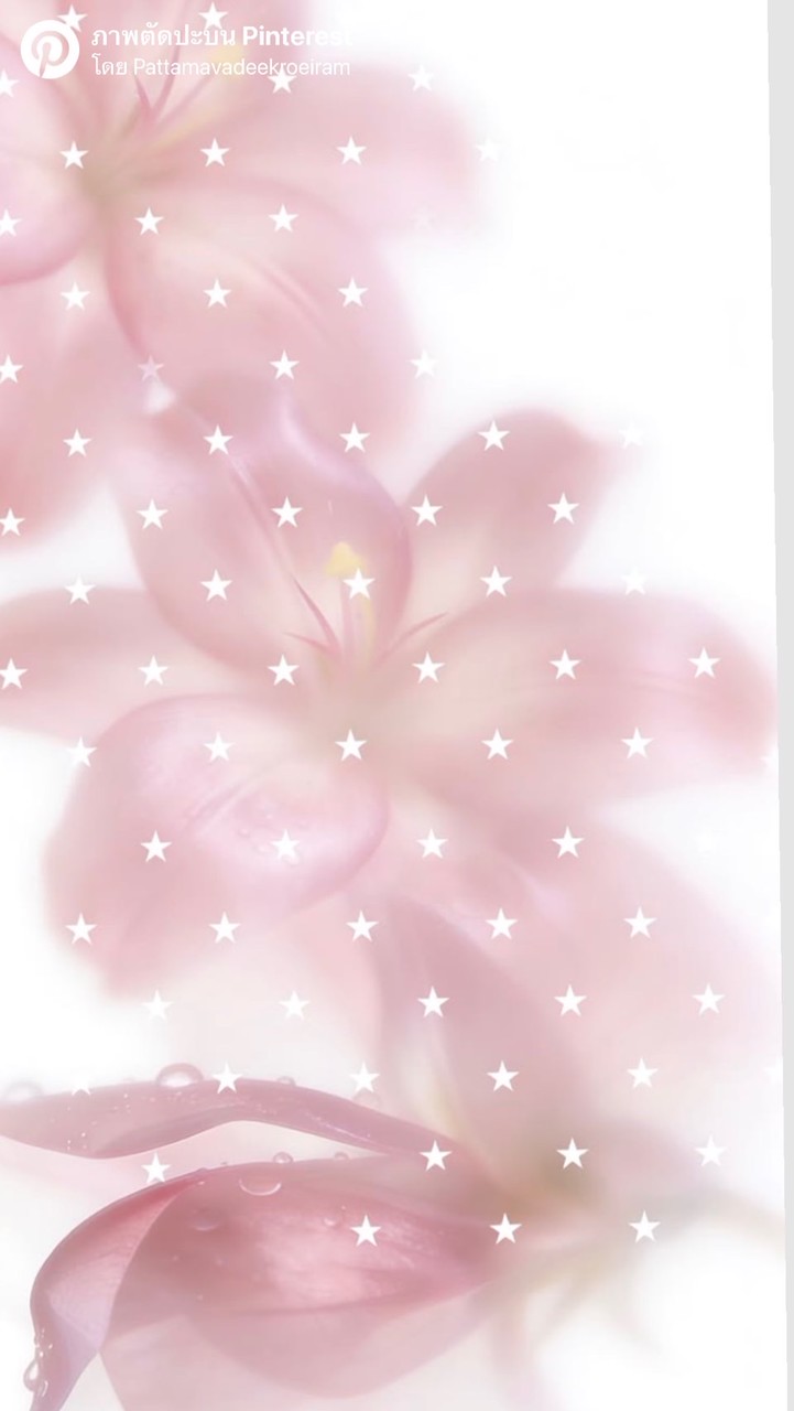 F  ݂ 𓂂ׅ֯ྵPhoto 🪽 𝙱𝚢 𓈒 𝙿𝙸𝙽
