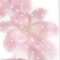 F  ݂ 𓂂ׅ֯ྵPhoto 🪽 𝙱𝚢 𓈒 𝙿𝙸𝙽