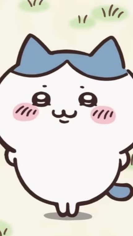 森森日本代購🌸吉伊卡哇