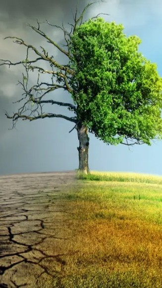 114-2「高一」衛生幹部