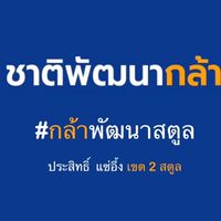 กล้าพัฒนาสตูล