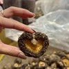 菇農自產自銷🍄‍🟫🍄（頭嵙山香菇