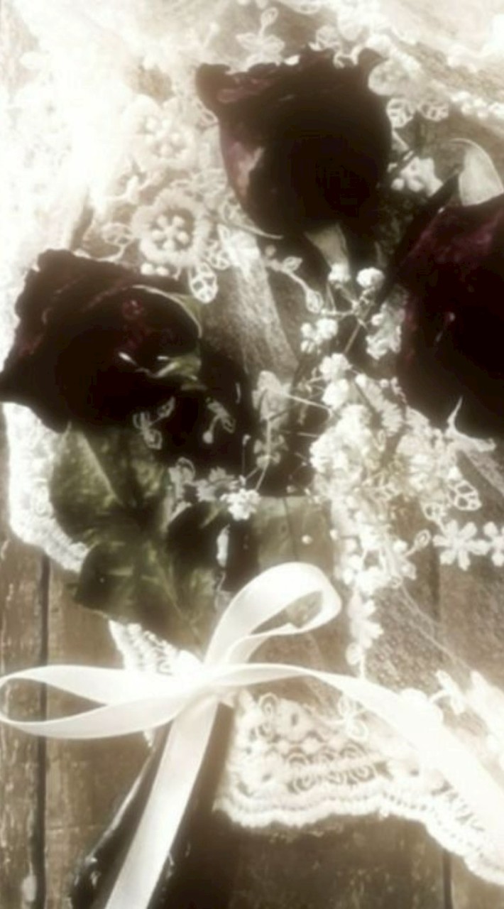 มุมลับของหนอนหนังสือ🐛