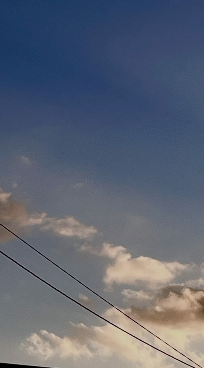 あつまれ❗めちゃつえーの森❗